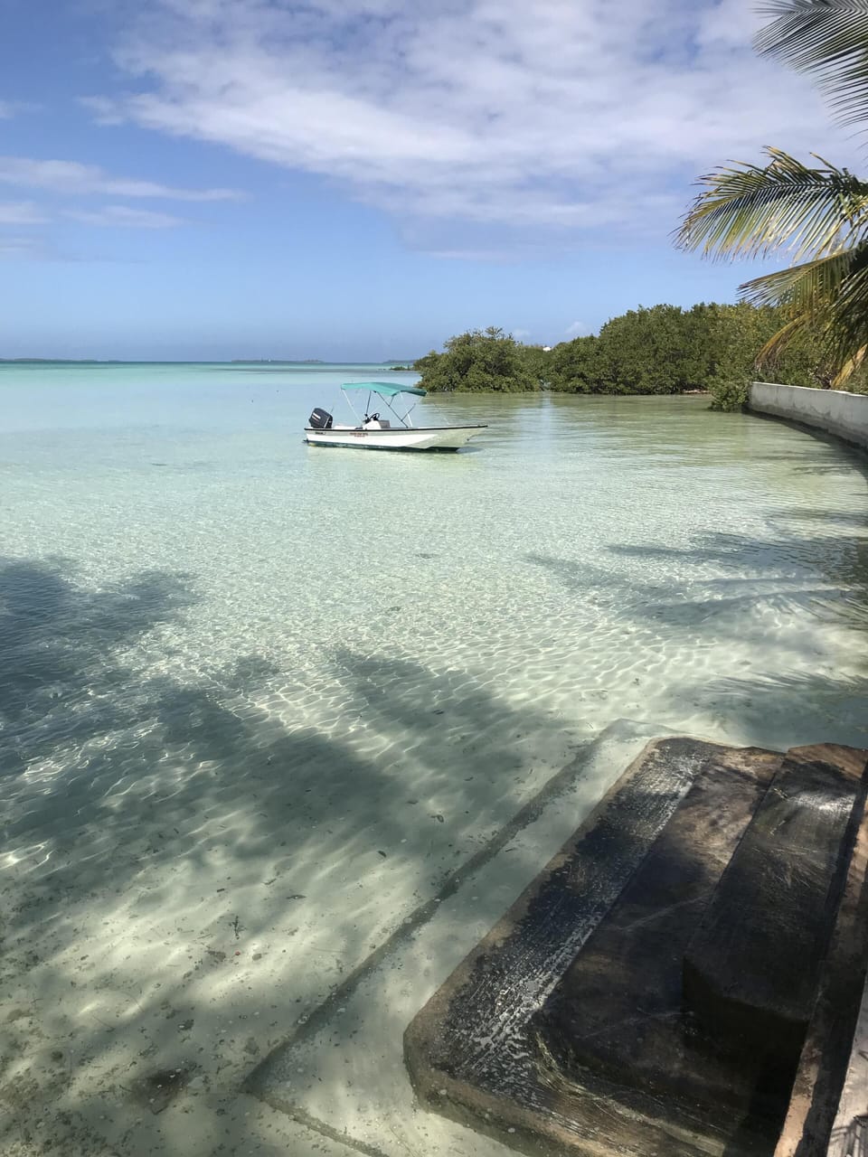 Our steps from the private beach area into the crystal clear water of the bay!