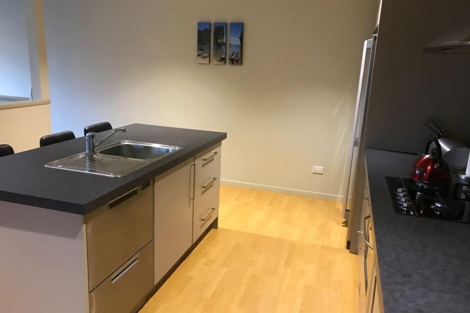 Perfect area to prepare food while entertaining