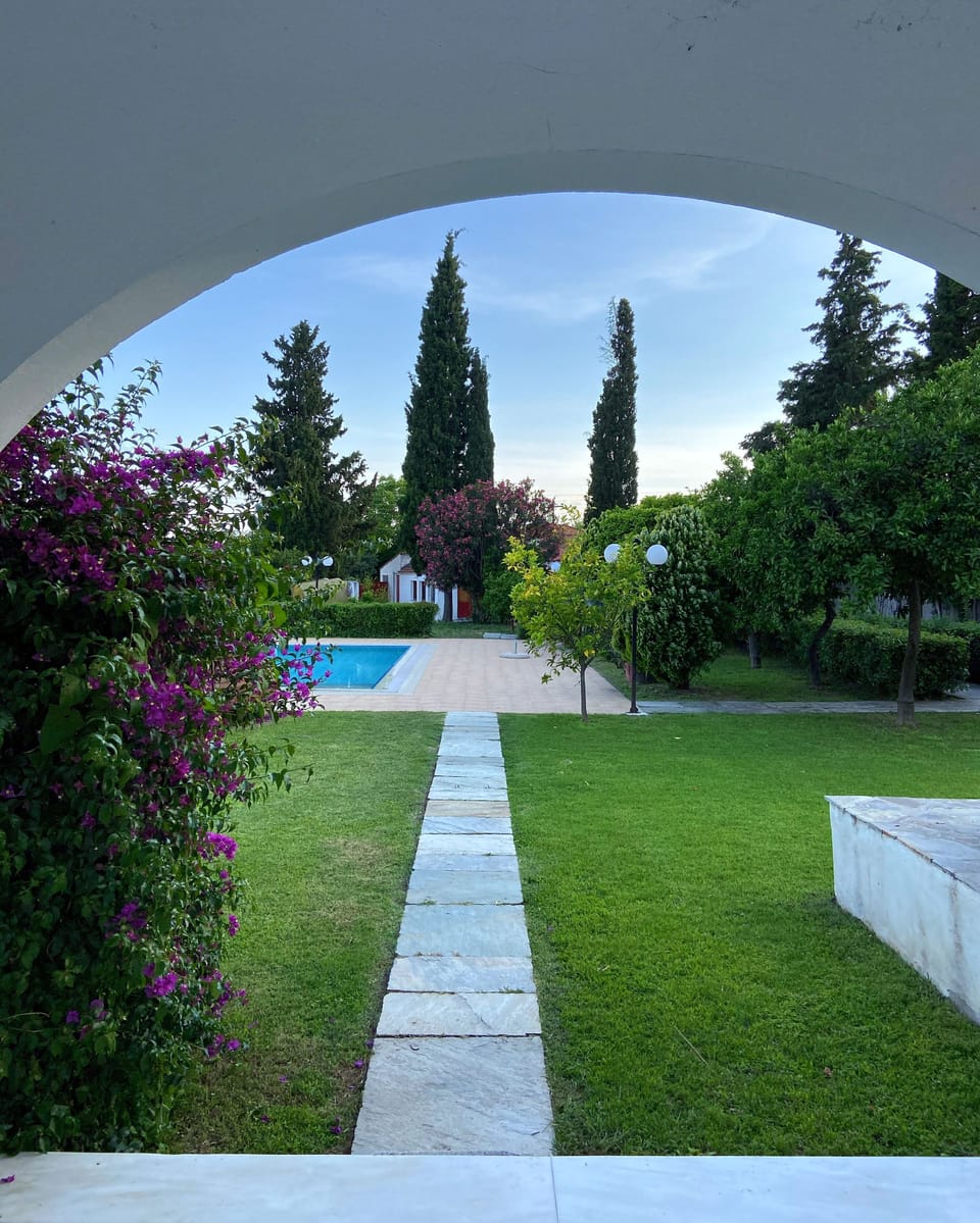 Path leading to swimming pool area - garden
