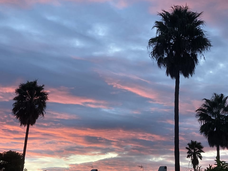 Magical sunsets