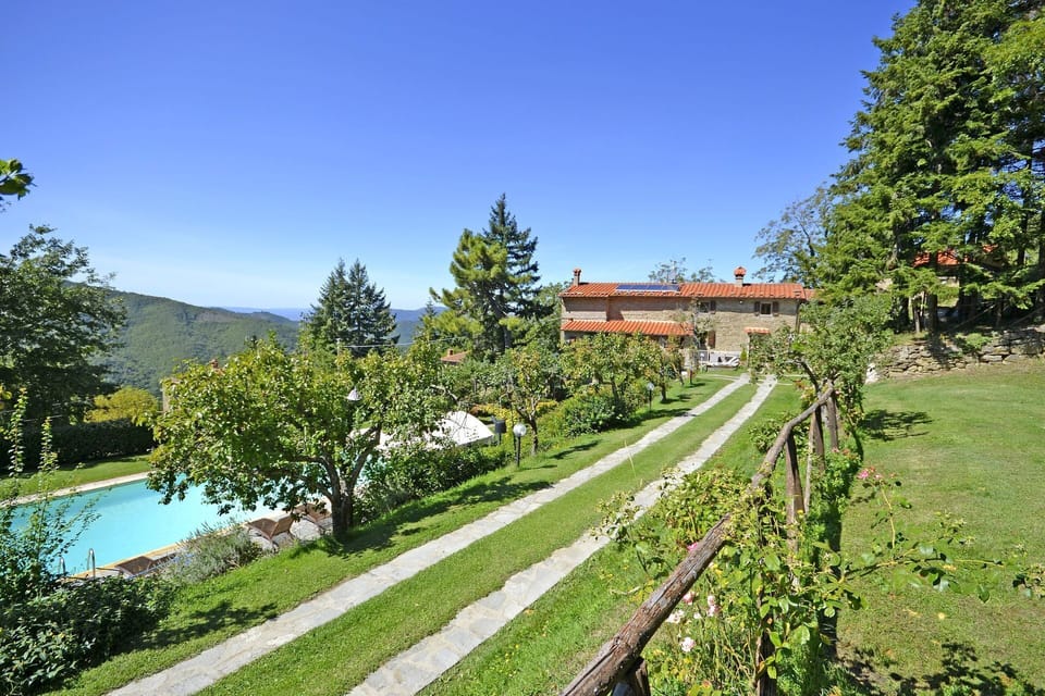 Swimming pool and garden