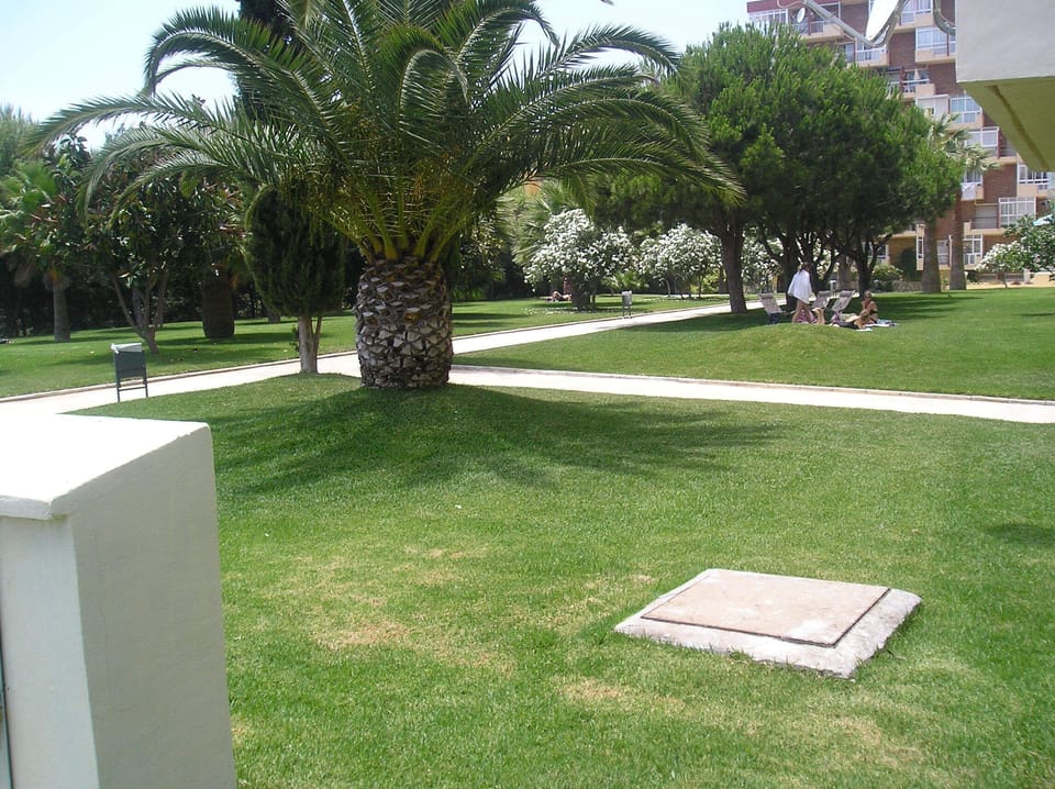 Nearby Paloma park