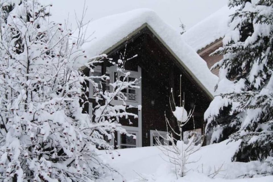 A winter wonderland!

Un paradis hivernal !