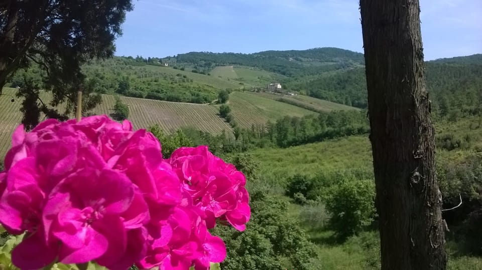 view from the roof terrace