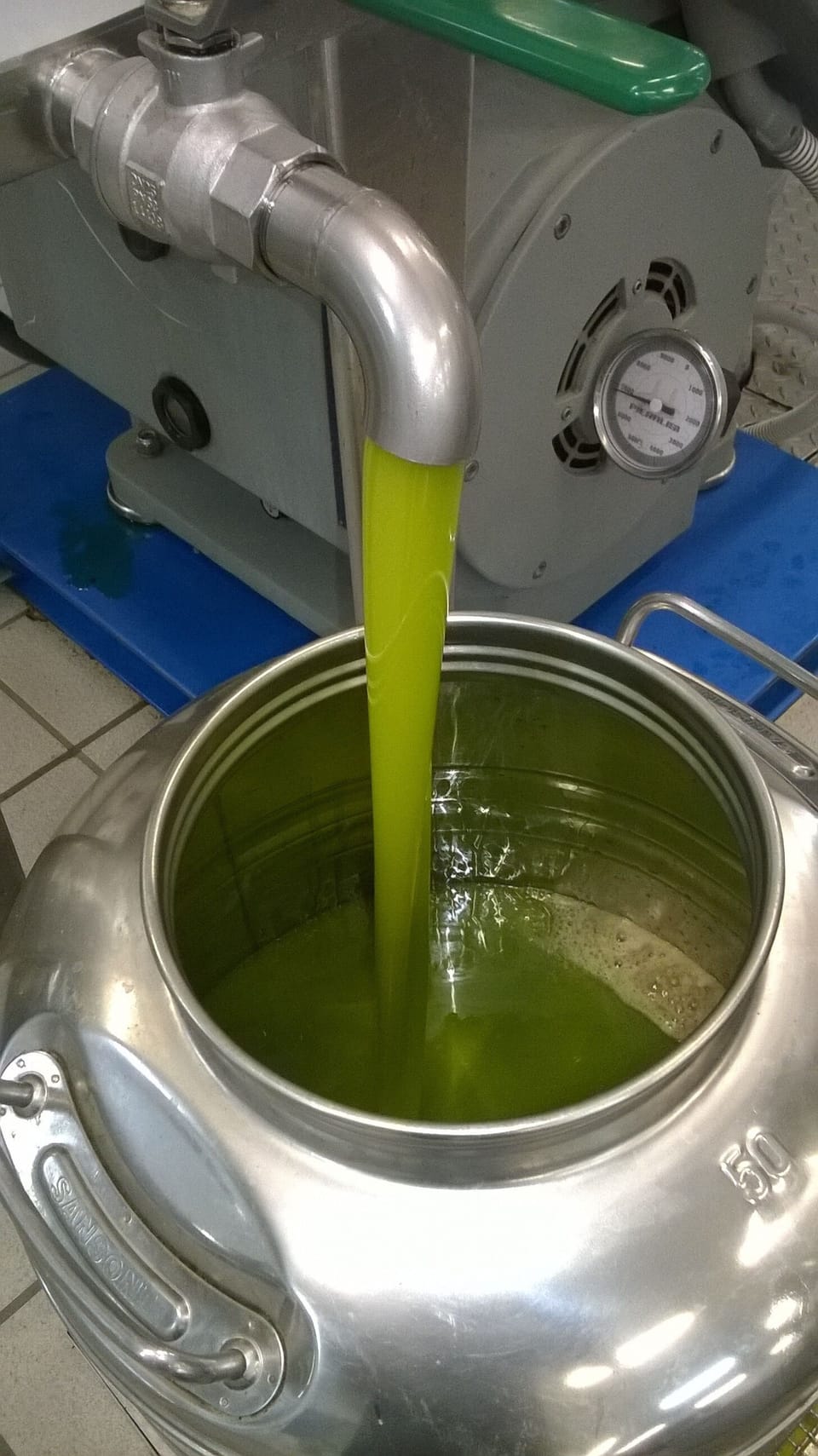 Podere vigliano olives  just crushed