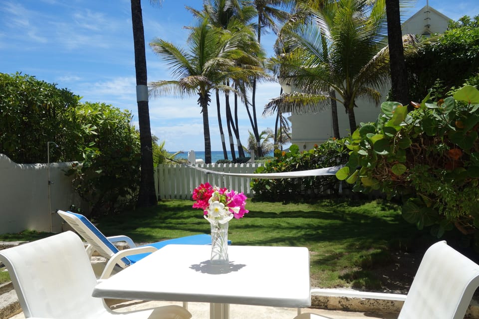 outdoor area at the Coconut studio