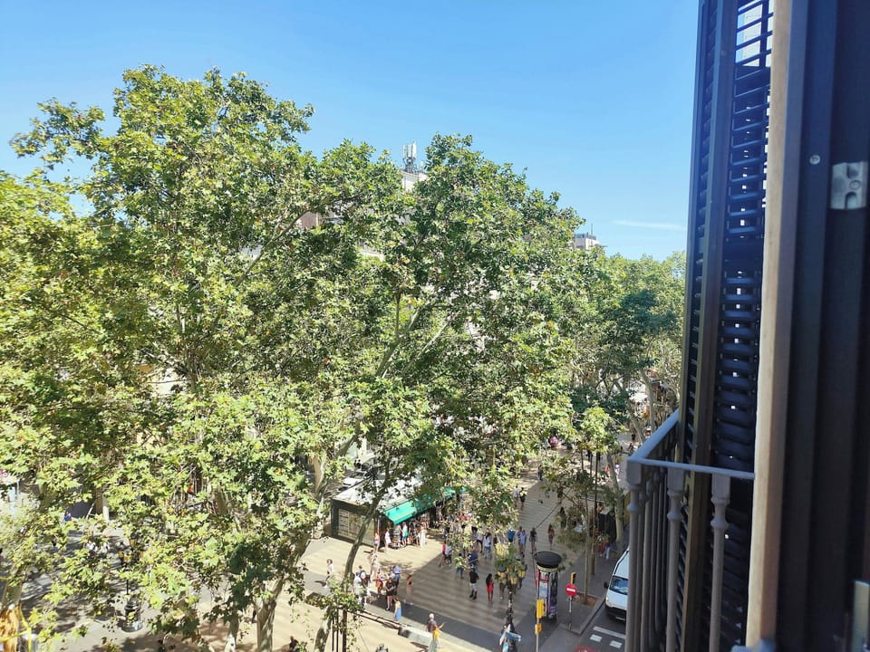 Apartment located just 100 meters from Plaça Catalunya, a strategic spot to explore the city effortlessly.