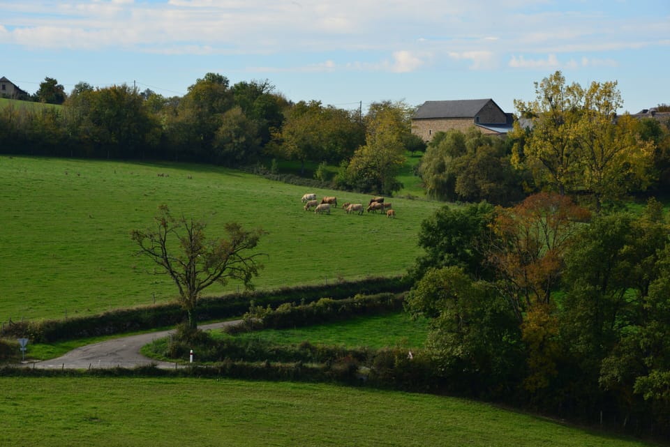 Farmland