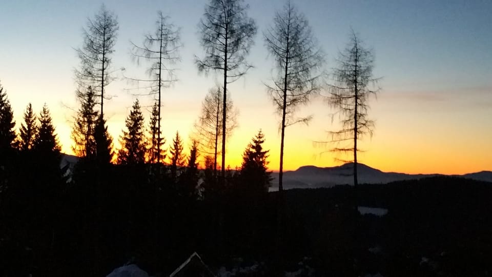 Paradise, peace, dog welcome. House is at ground level. Fenced in  House in Carinthia, Austria