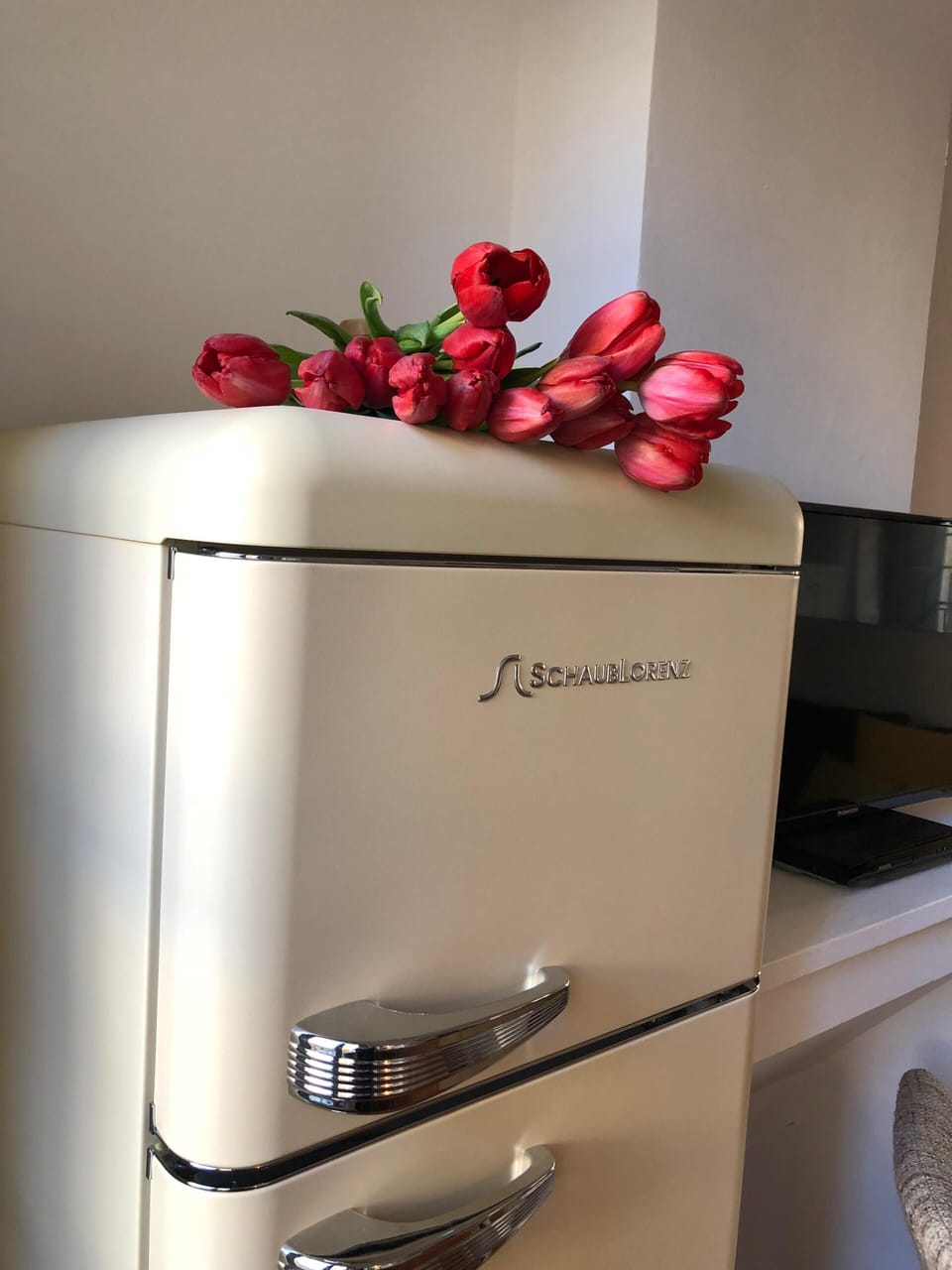 Vintage look fridge