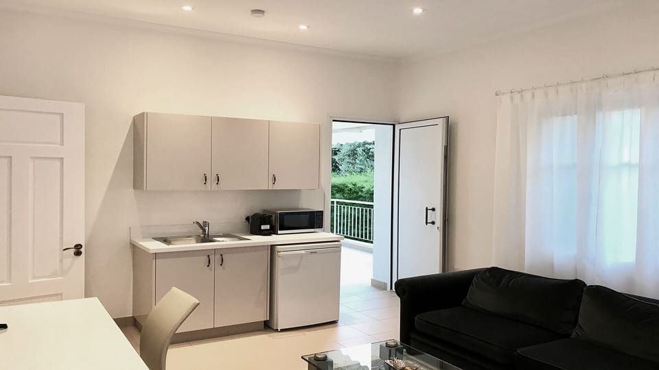 Living room and kichenette