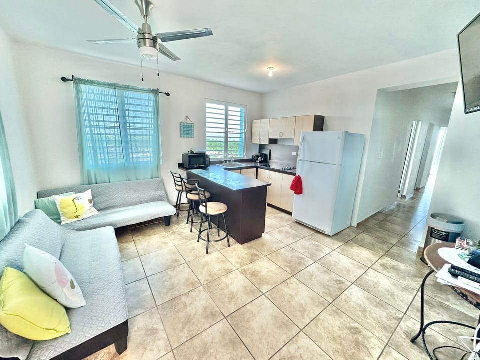 open space -living room & kitchen combined. TV streaming device (personal acct)