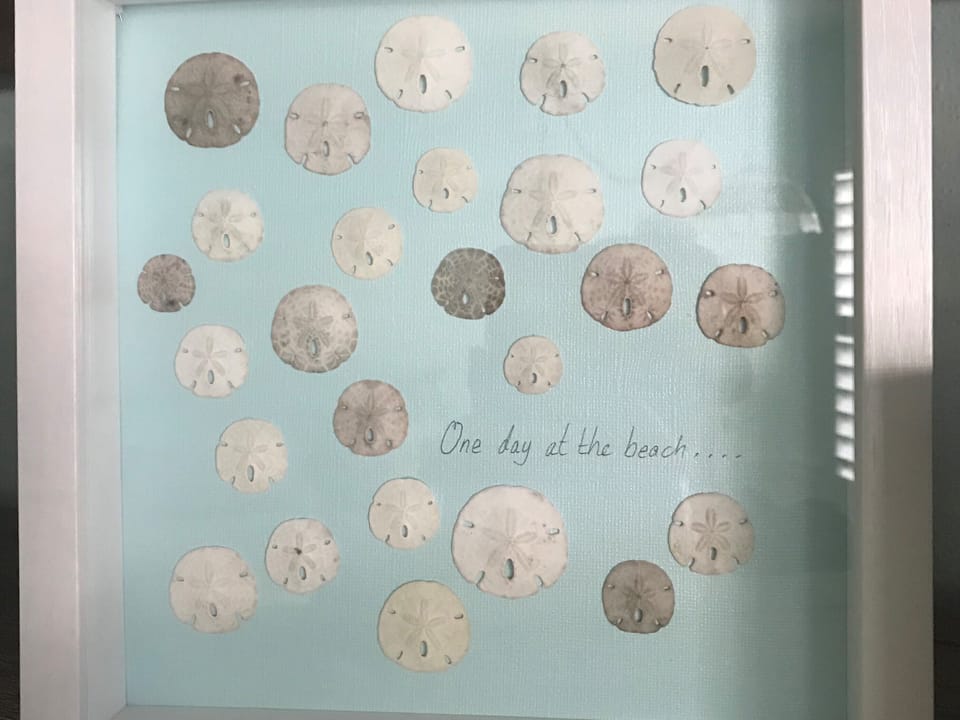 Sand Dollar Suite
