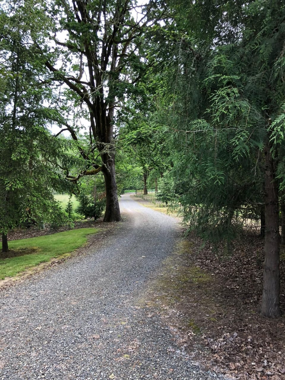 Driveway