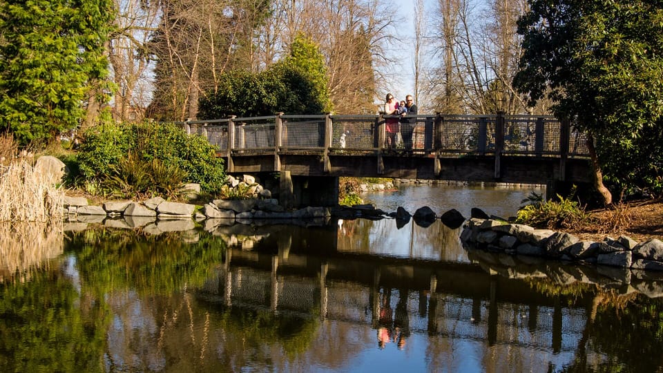 Wright Park