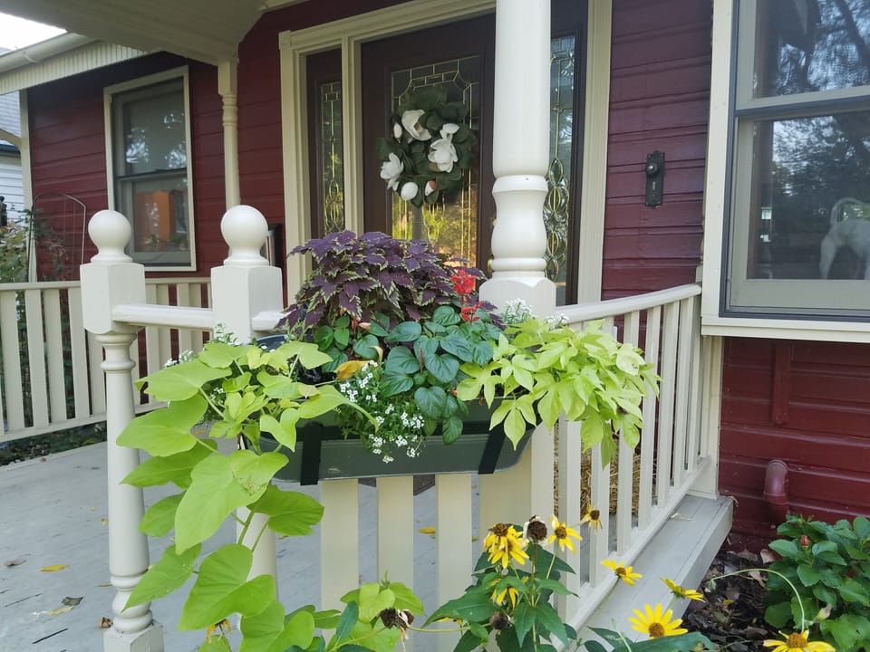 Annual and perennial beds in spring and summer
