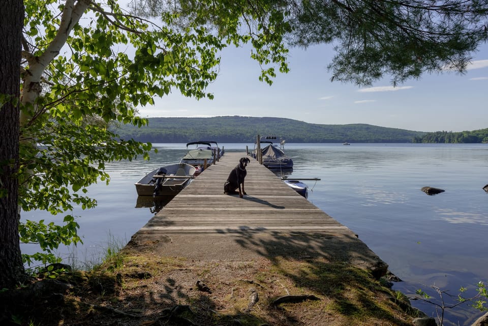 Scenic lakeside dock just a short stroll down a charming, tree-lined path.