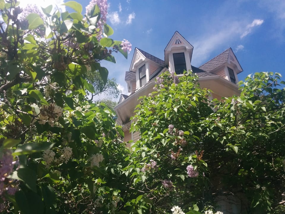 Welcome to Agate Hill! We have a 1 acre hillside garden property. 