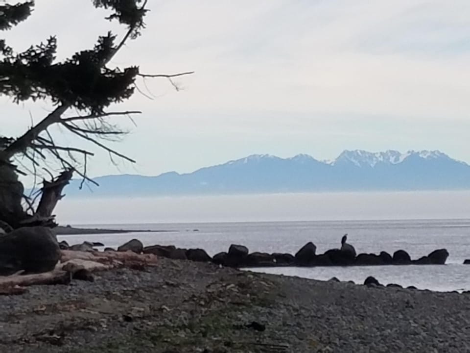 The beach, the backdrop, and the Eagle