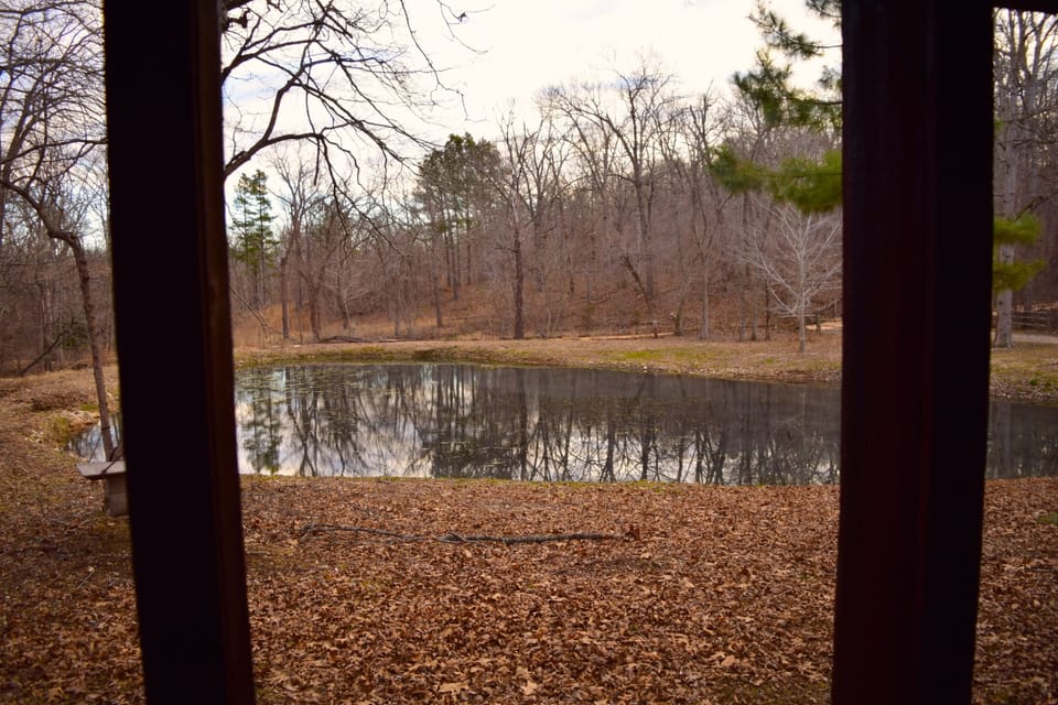 A view of the pond from the screened in porch