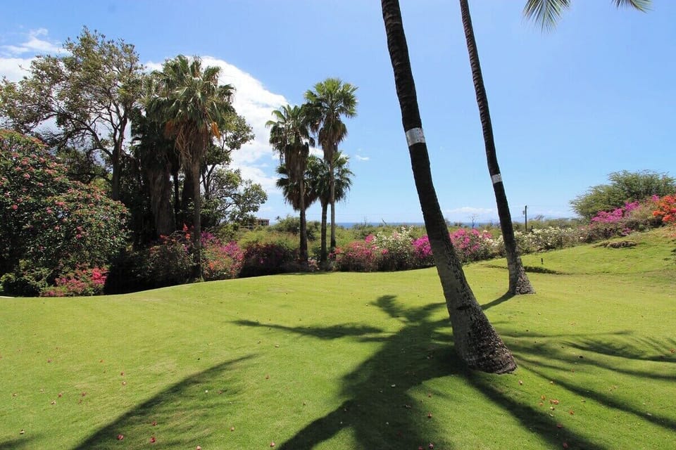 Beautiful garden walkway with towering palms and vibrant greenery showcasing the resort's tranquil outdoor spaces.