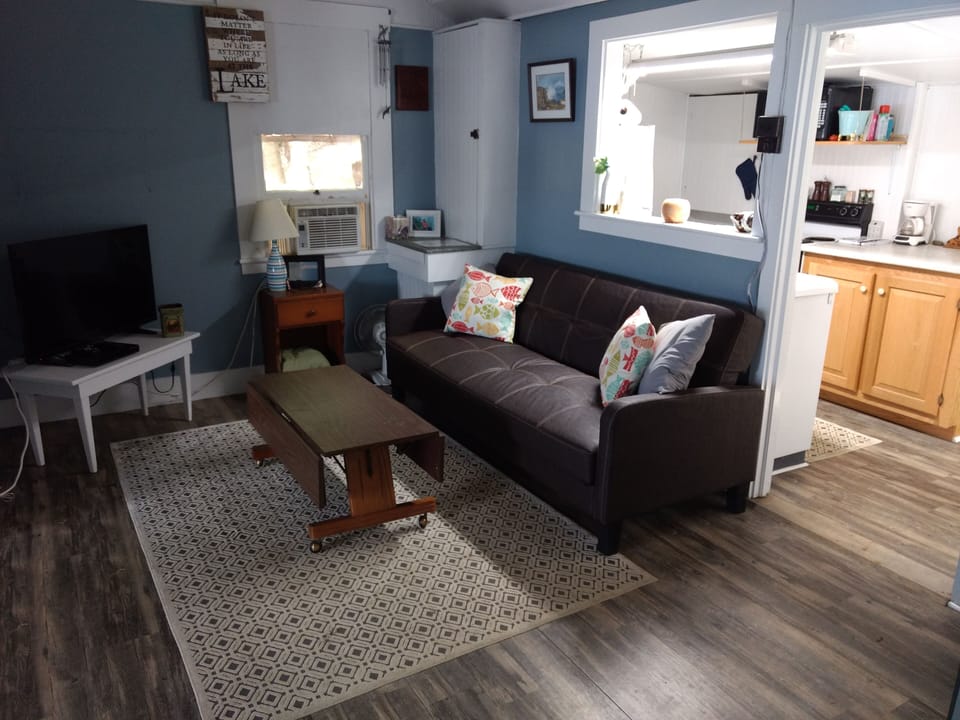 Living room couch folds down to full size bed 