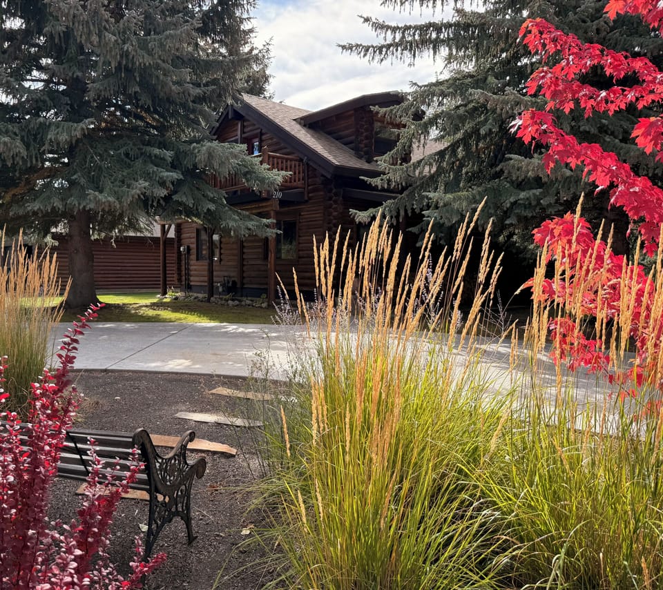 Front of house with circle driveway