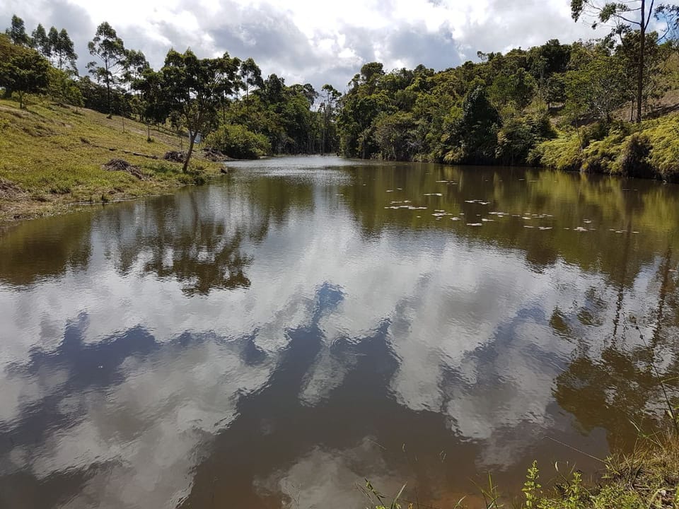 Lake