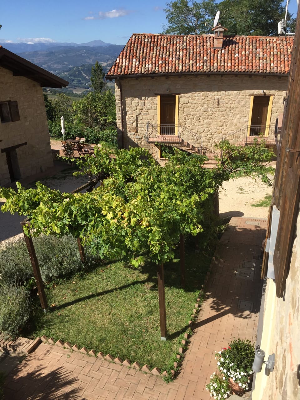 Giacomina beyond B&B grapevine
