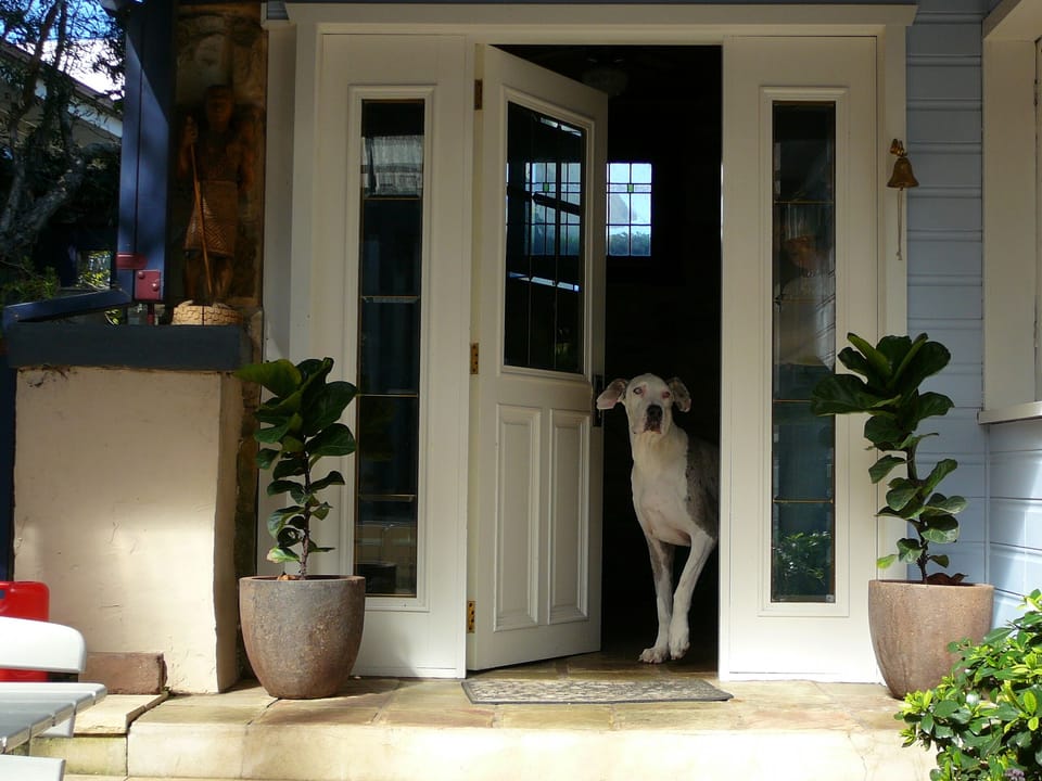 owner's front door
Feel free for ring the bell!