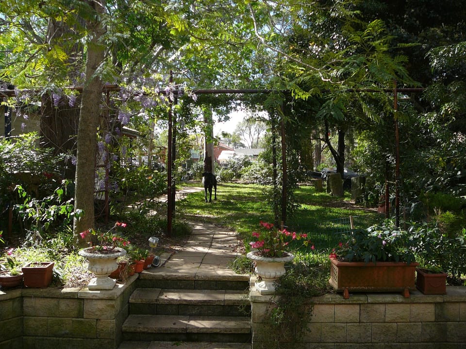 This is our front yard