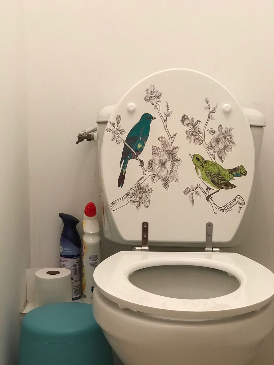Separate toilet
