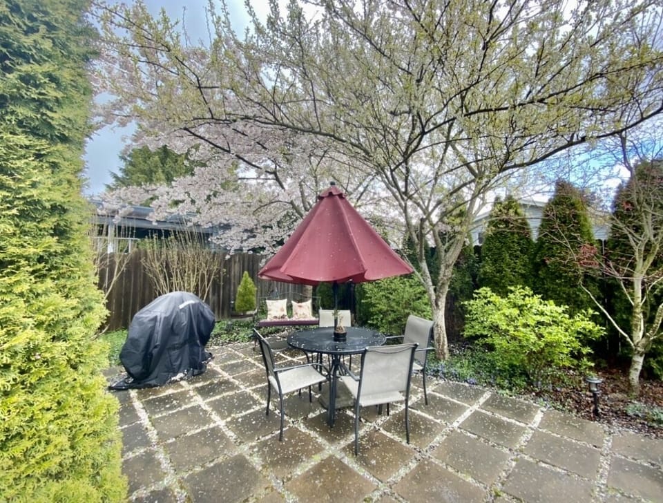 Relax and enjoy the bunnies, birds, and beautiful Northwest blooms