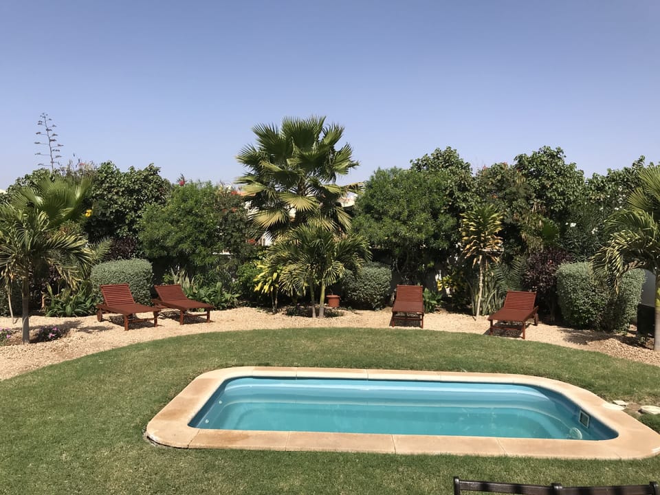 Back Garden