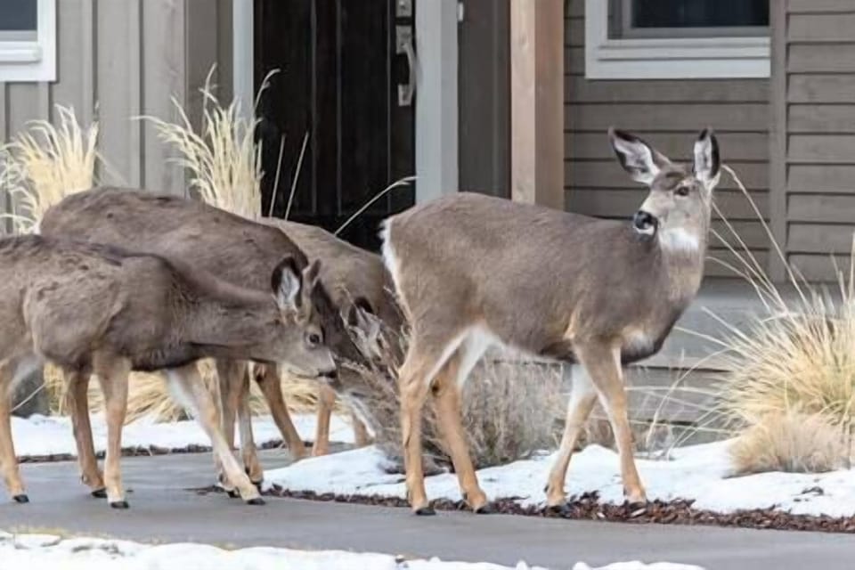 A5d58085 c504 4973 b664 91ffa1d8b9a2