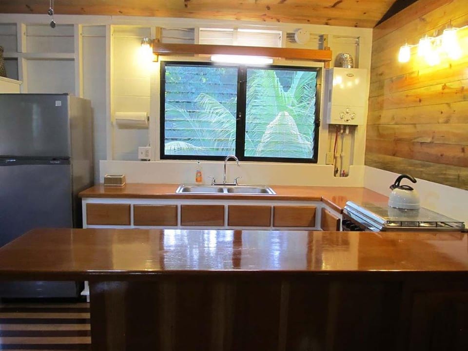kitchen/bar area