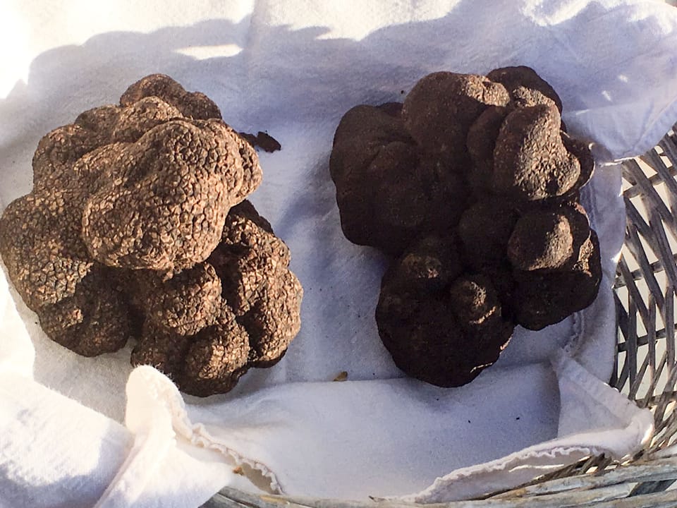 Moussoulens, the truffle village