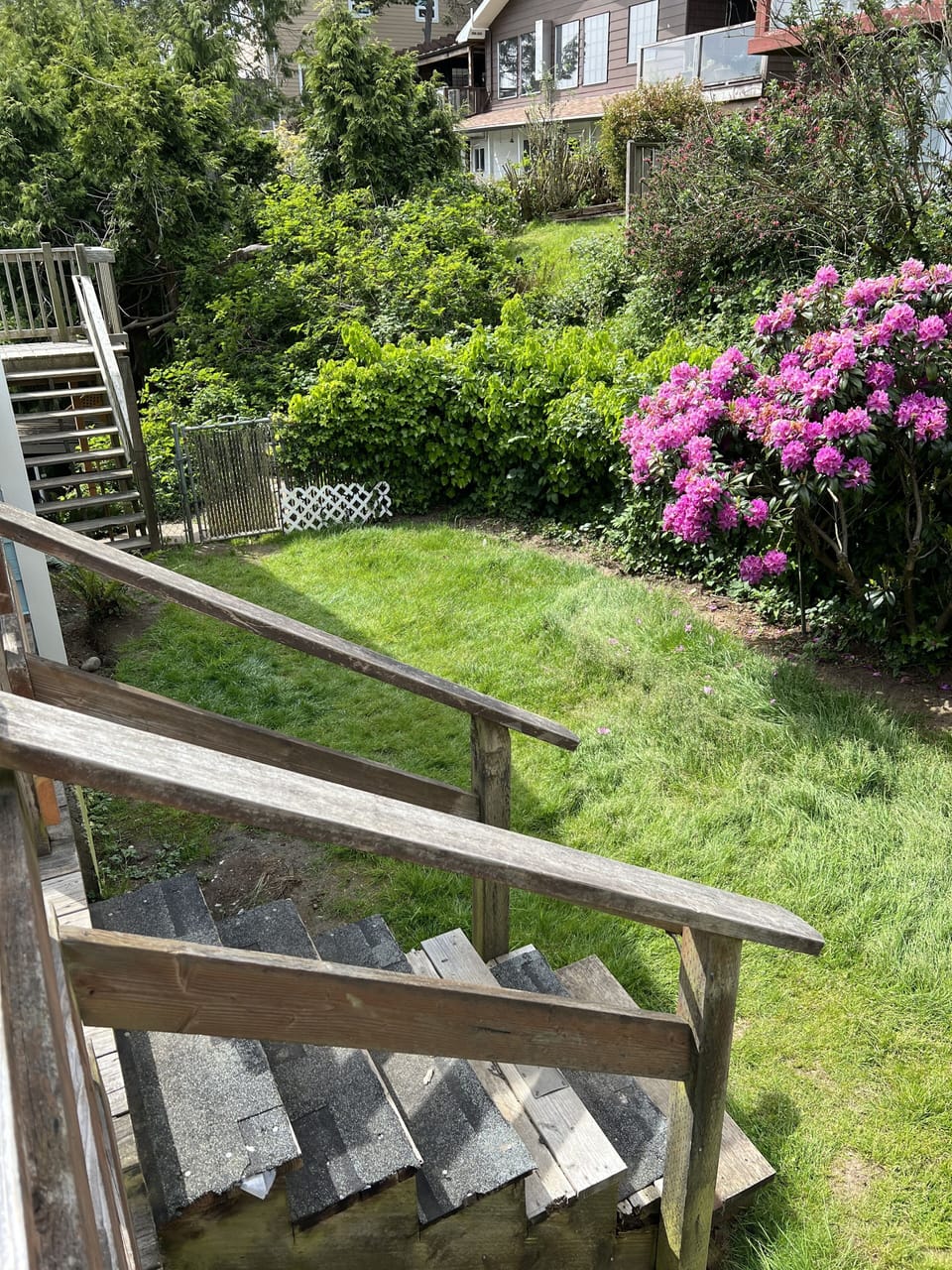 fenced-in back yard for fur babies