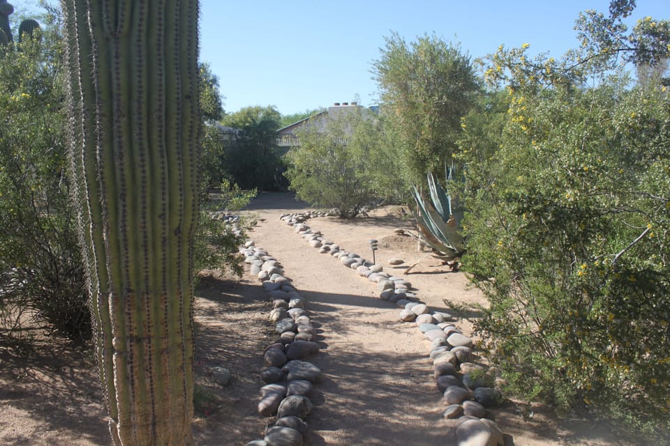 This is a trail through the garden, peaceful place to watch the birds!