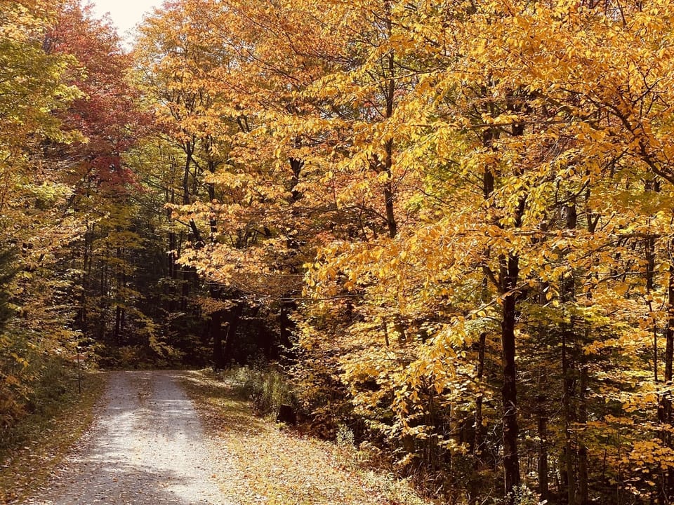 Fall in Vermont -Private  Rd/Driveway