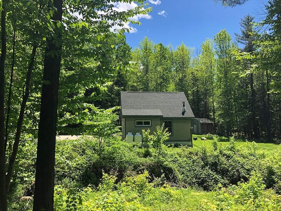 Summer time at the Cabin