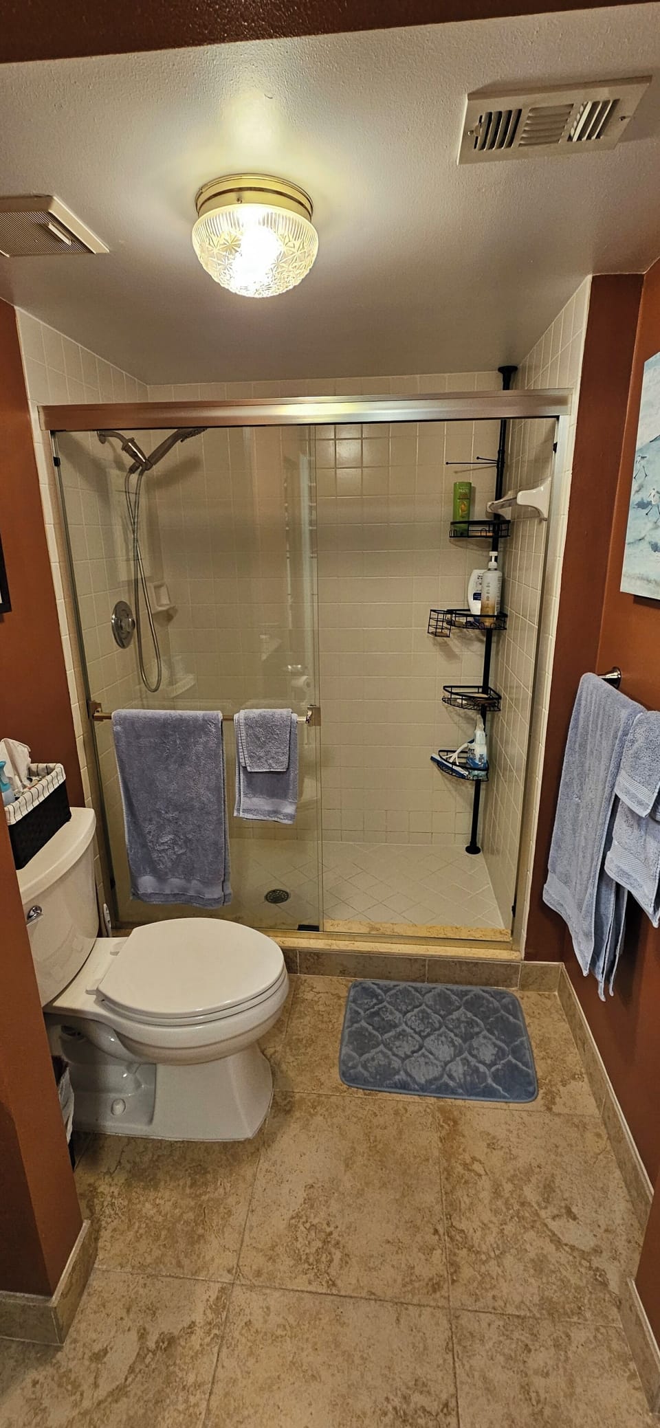 Main bath shower area