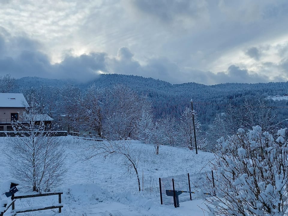 View from Holiday Home [winter]
