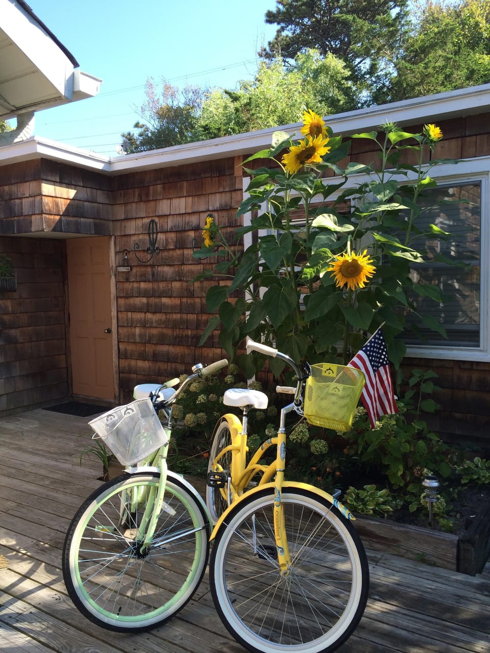 Bikes and sunflowers,  front door
