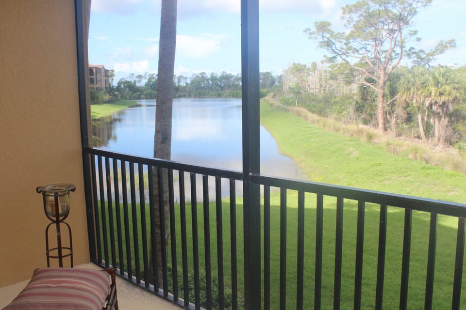 Lake view
