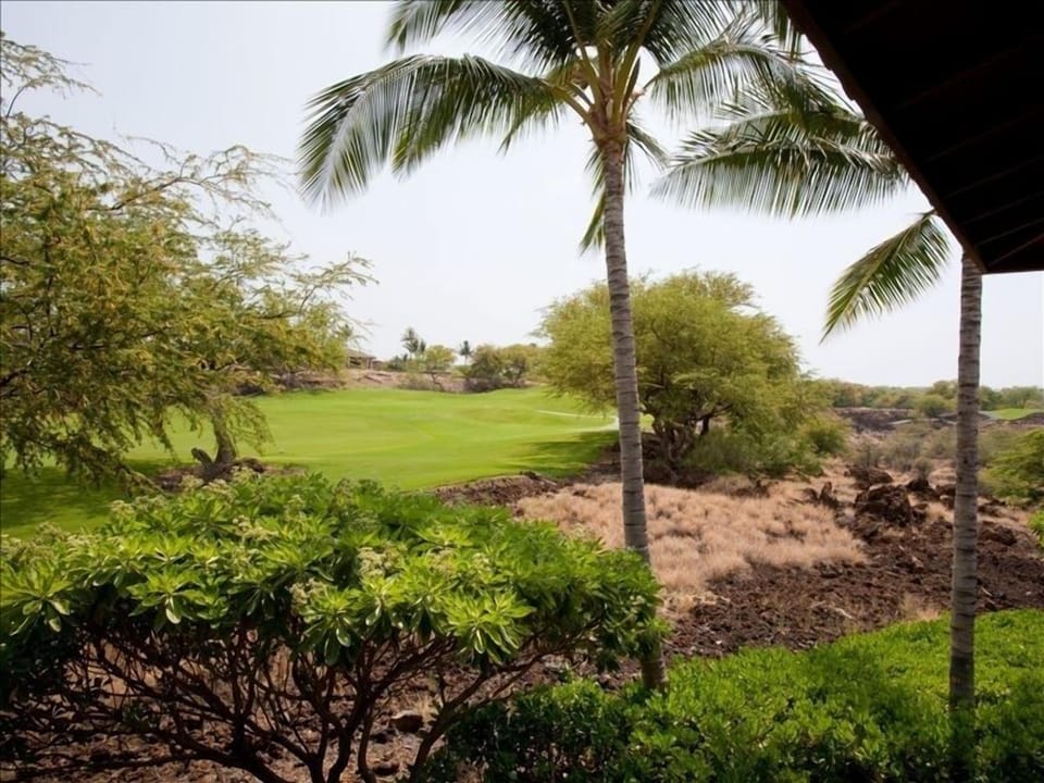 View from Master Lanai