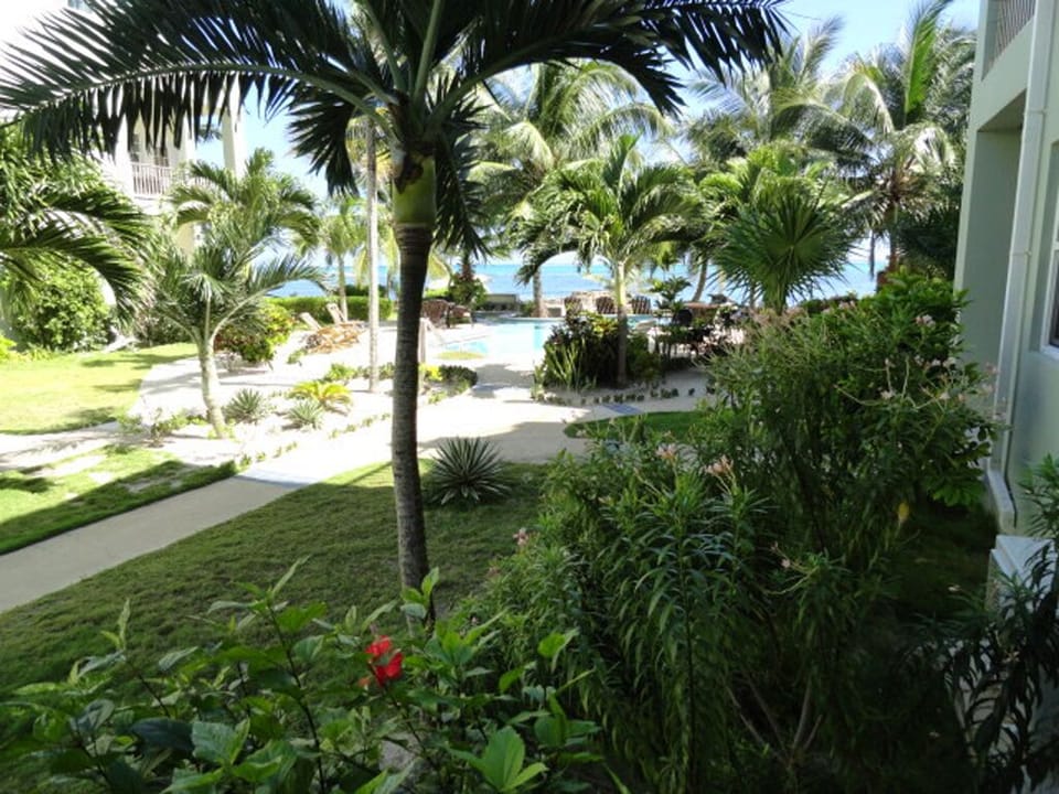 View from the patio