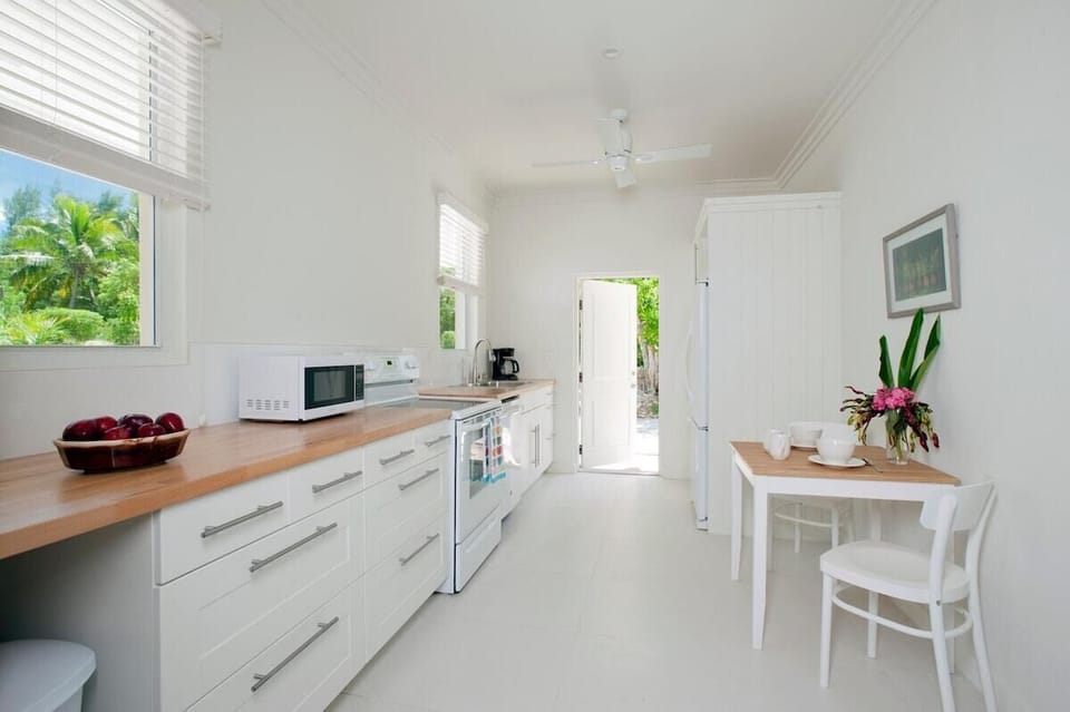 Studio apartment kitchen.