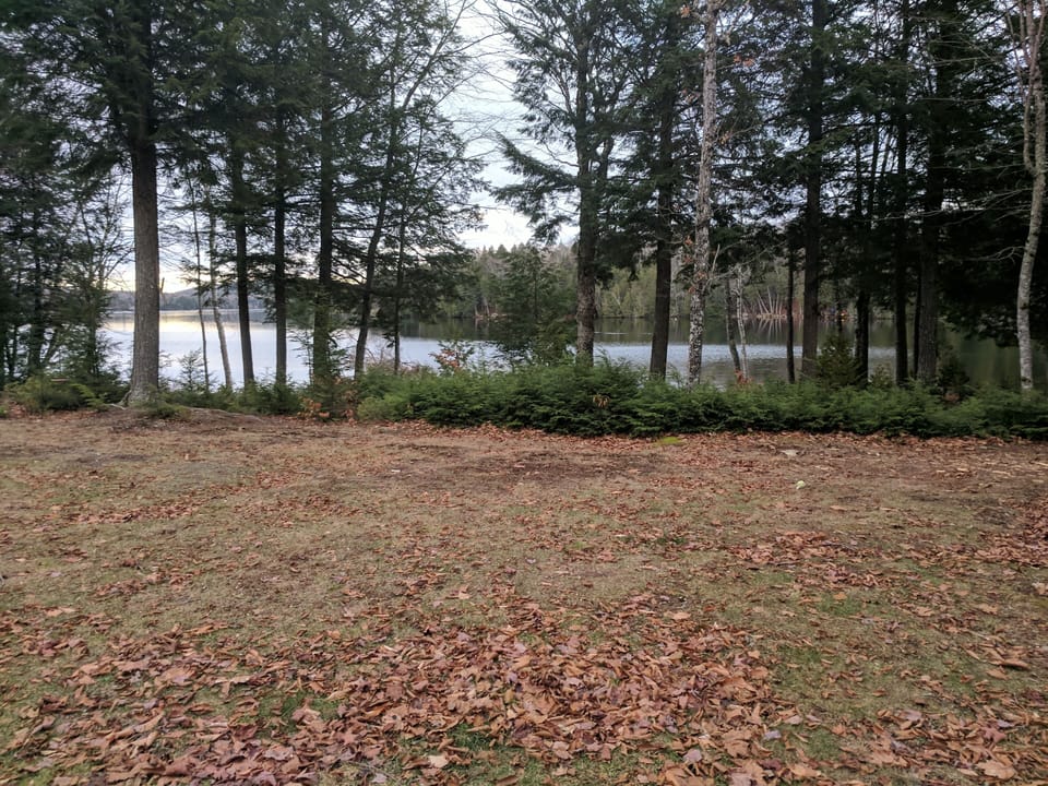 Late autumn