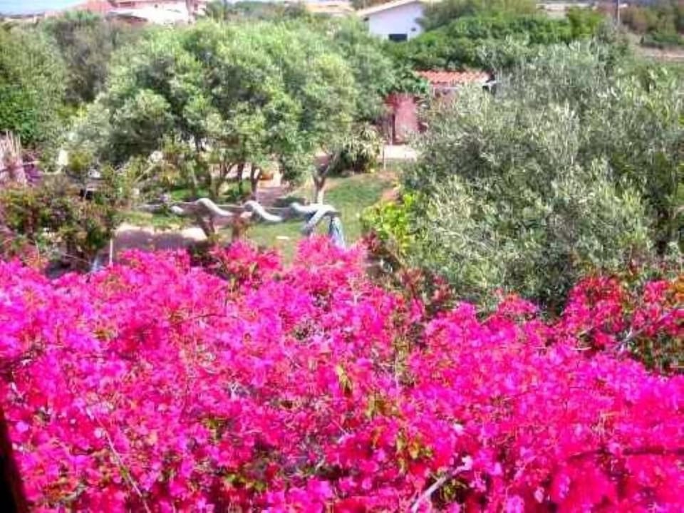 Garden, Park